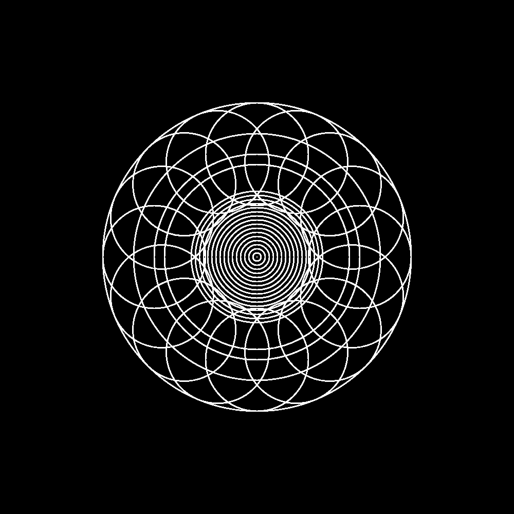 Sixteen white circles equidistant circles form a pattern within and around other concentric circles on a black background.