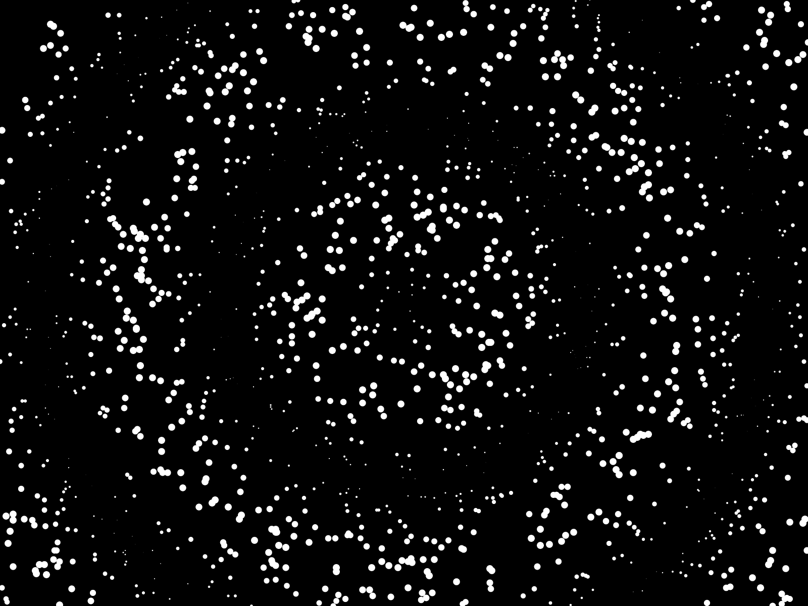 A thousand small white particles of various sizes are covering a black background revealing bigger hidden circles.